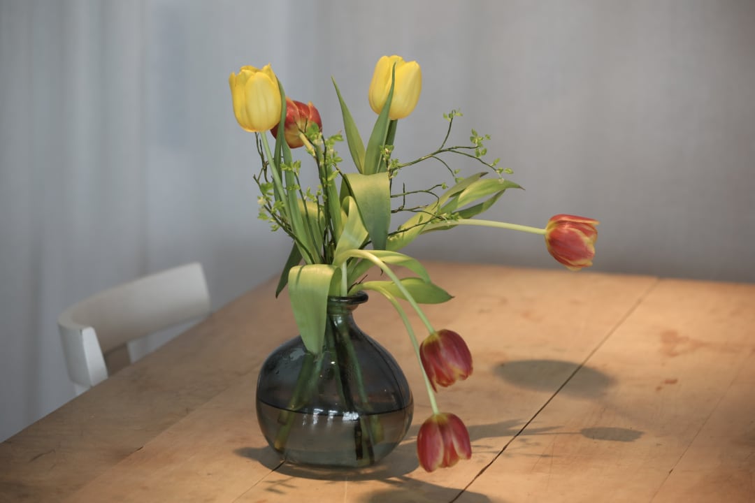 Gastro Inselloft Norderney