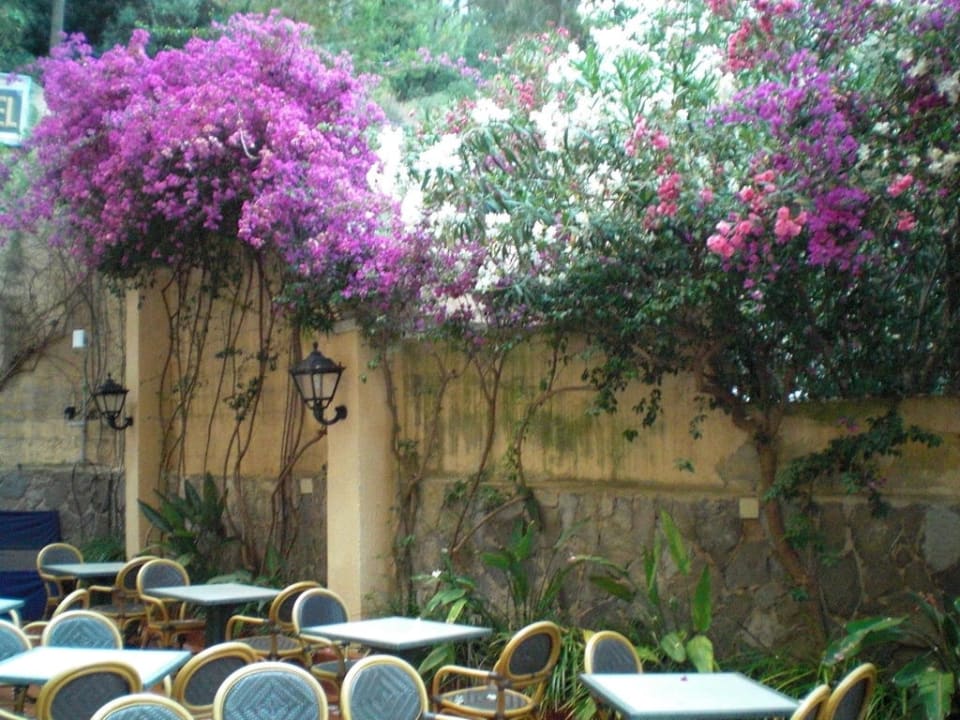 Sitzecke am Eingang des Hotels FLOR los Almendros Apartamentos