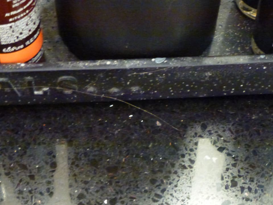 Zi. 201 fremdes Haar im Bad ( eklig ) Hotel Logierhus Langeoog