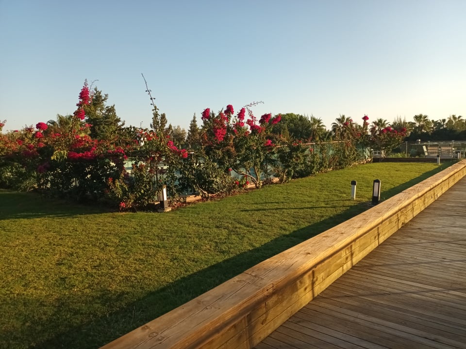 Gartenanlage Sentido Trendy Verbena Beach