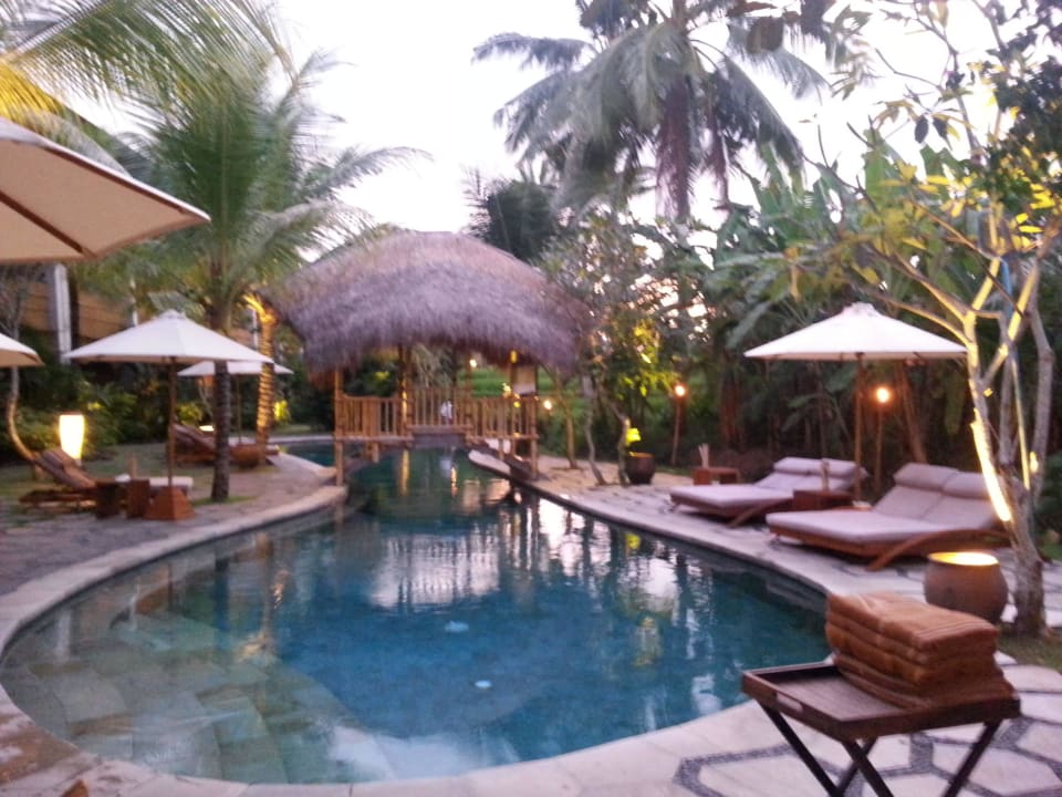 Pool Alaya Resort Ubud