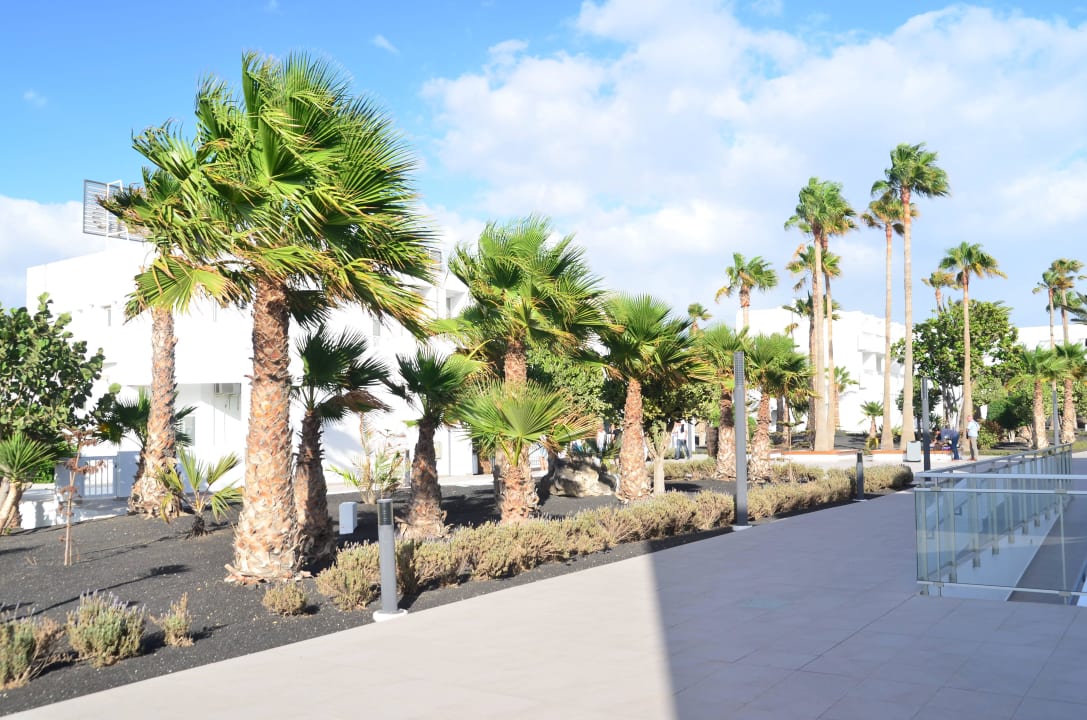 Zur Rezeption,Innenbereich Sentido Aequora Lanzarote Suite