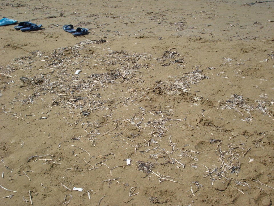 Dreckiger Strand Seaden Corolla Hotel