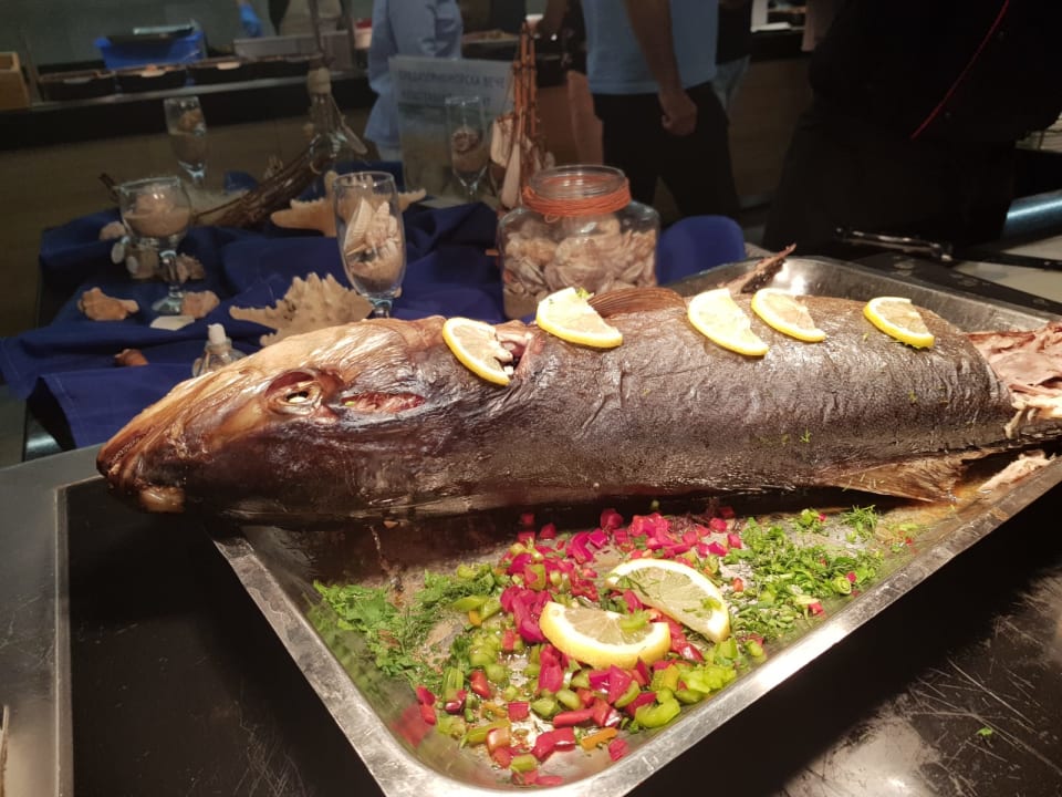 Gastro HVD Viva Club Hotel