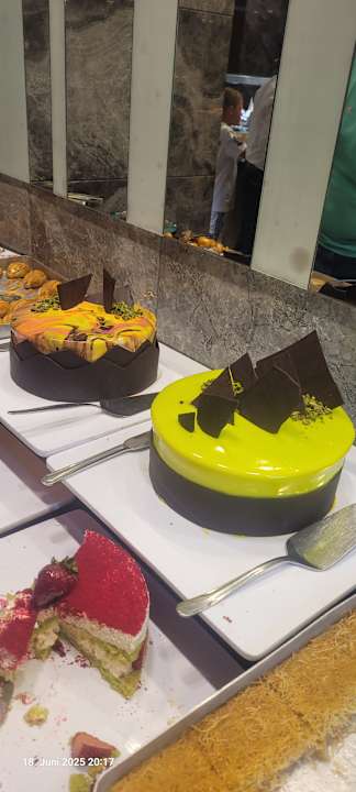 Gastro Seashell Vega