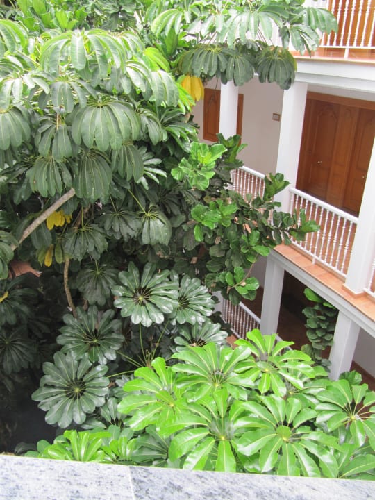 Zugang zu den Zimmern Hotel Riu Palace Tenerife