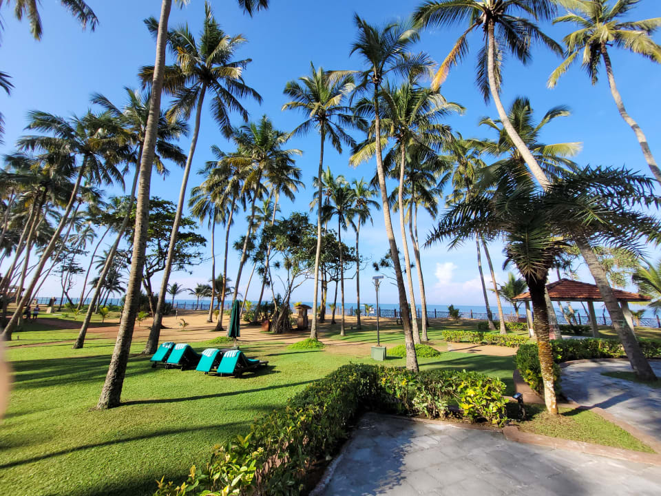 Gartenanlage Royal Palms Beach Hotel