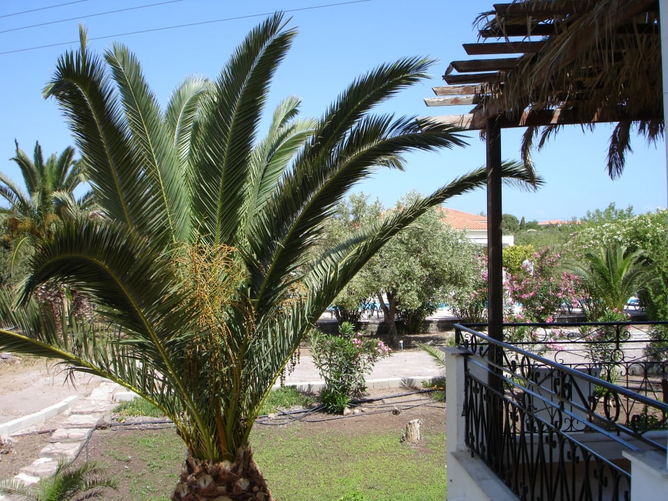 Vim Balkon Hotel Eriphili