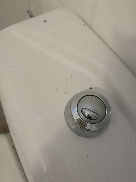 Zimmer Belambra Club - Pineto