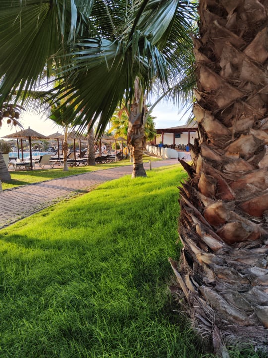 Gartenanlage Meliá Laguna Beach