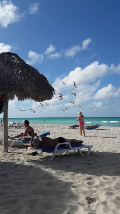 Raubtierfütterung Sol Hicacos Varadero