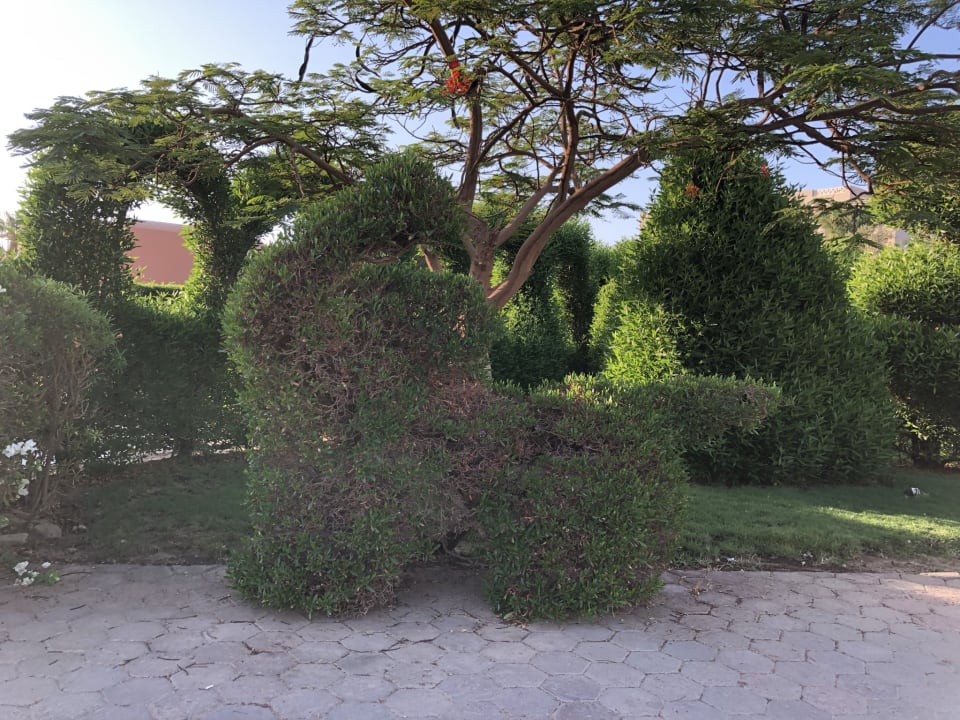 Gartenanlage Jaz Makadi Saraya Resort