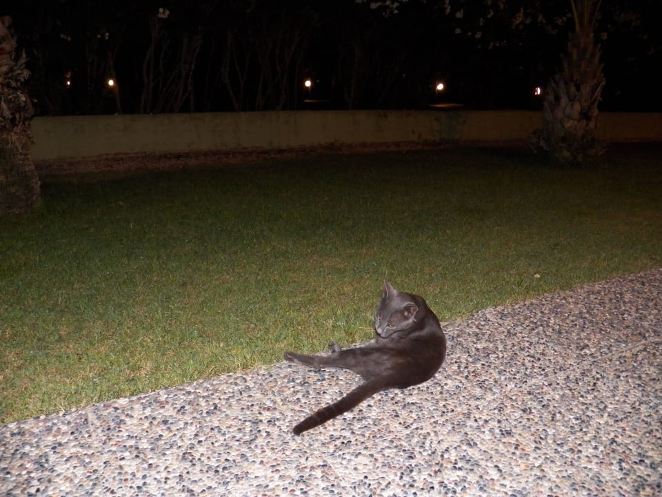 VON Resort Golden Coast VONRESORT Golden Coast