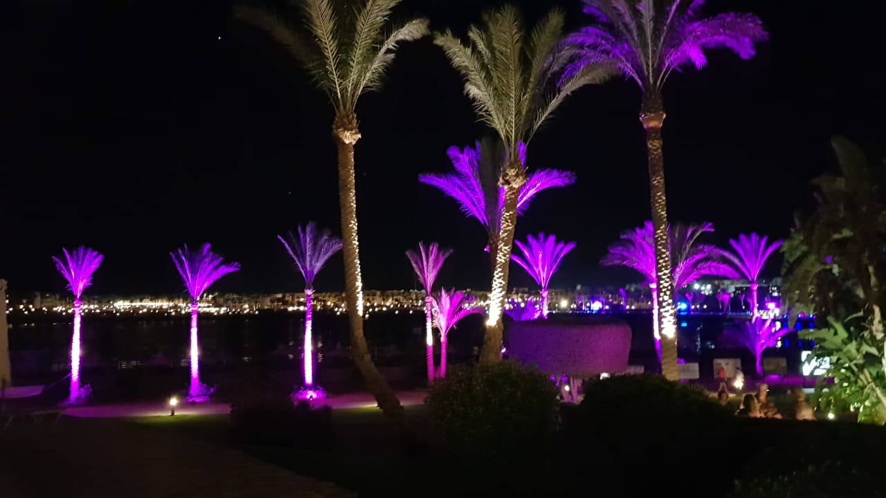 Sport & Feizeit Steigenberger Coraya Beach - Adults only