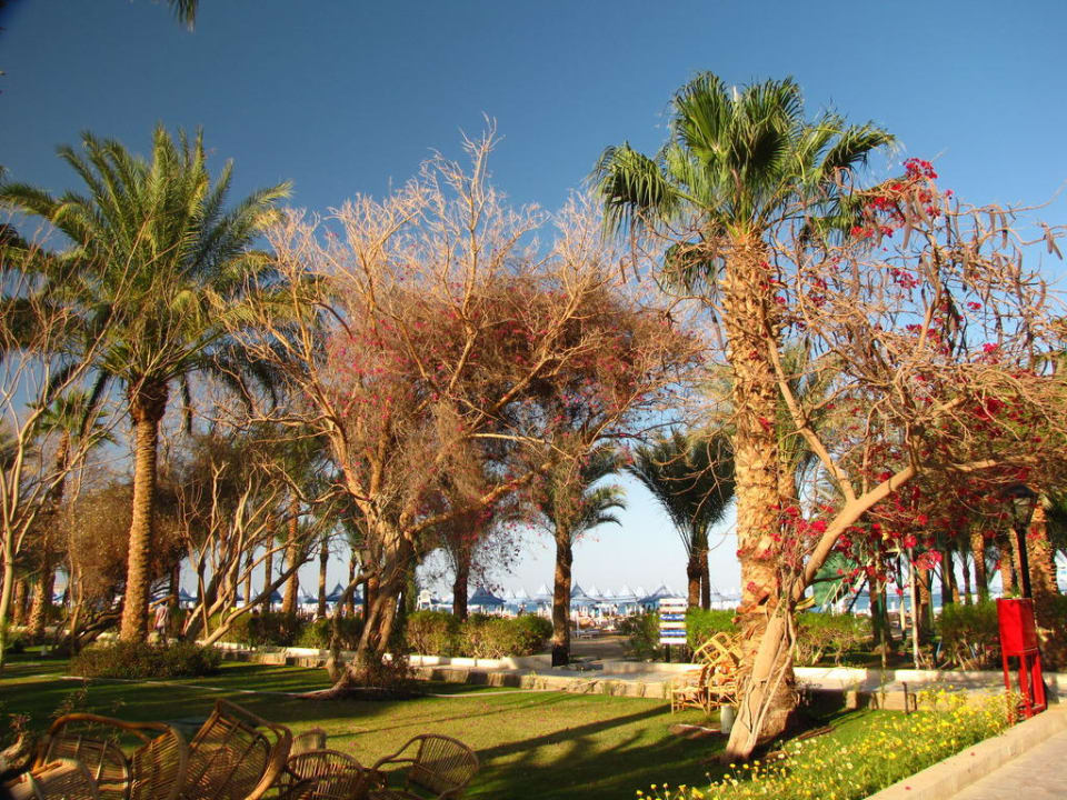 Garten The Grand Hotel Hurghada