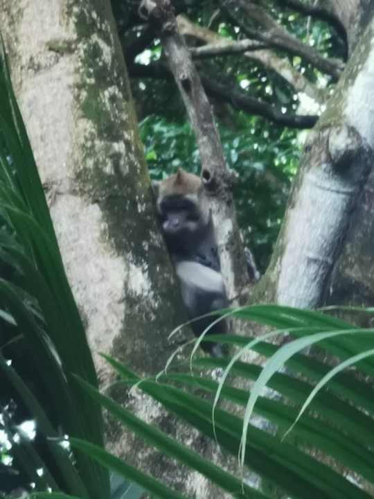 Sonstiges Radisson Blu Poste Lafayette Resort & Spa - Adults only