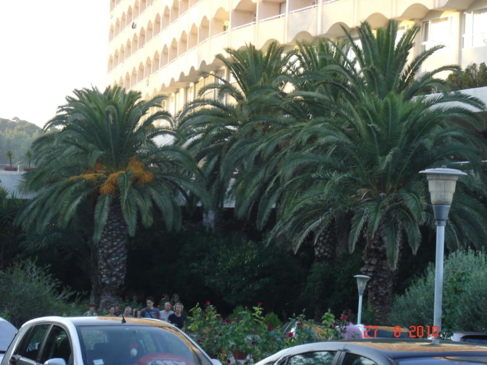 Eingangsbereich vorm Hotel Hotel Athos Palace