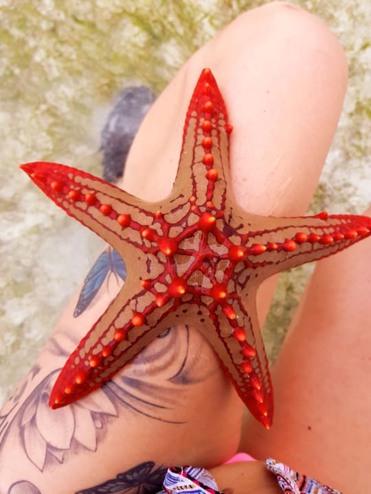 Hotelstrand Neptune Paradise Beach Resort & Spa