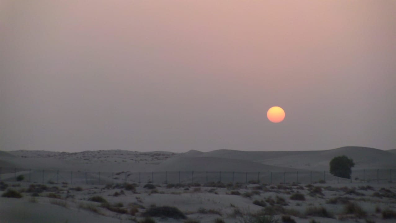 Blick in die Wüste Hotel Bab Al Shams Desert Resort & Spa