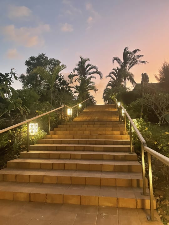 Gartenanlage TUI Blue Bahari Zanzibar