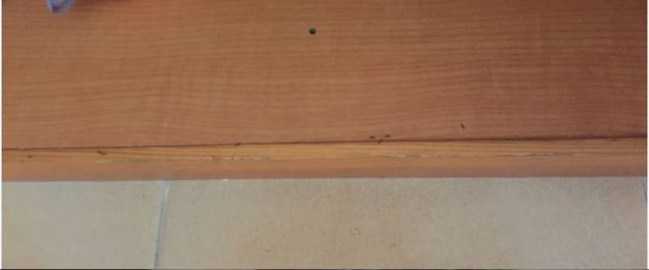 Ameisen im Kleiderschrank  VIVA Cala Mesquida Resort & Spa