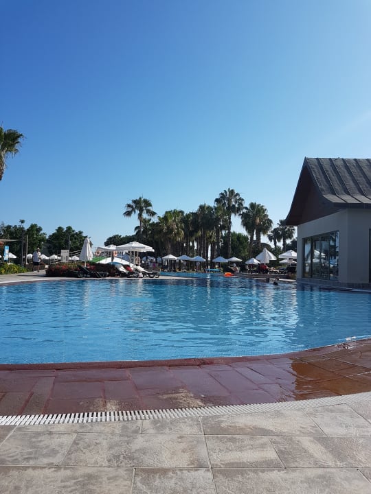 Pool Arum Barut Collection