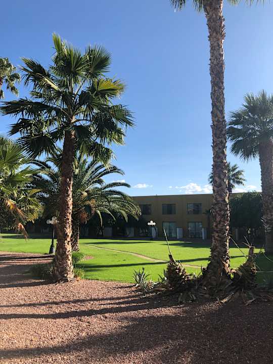Gartenanlage Doubletree Hotel Tucson at Reid Park