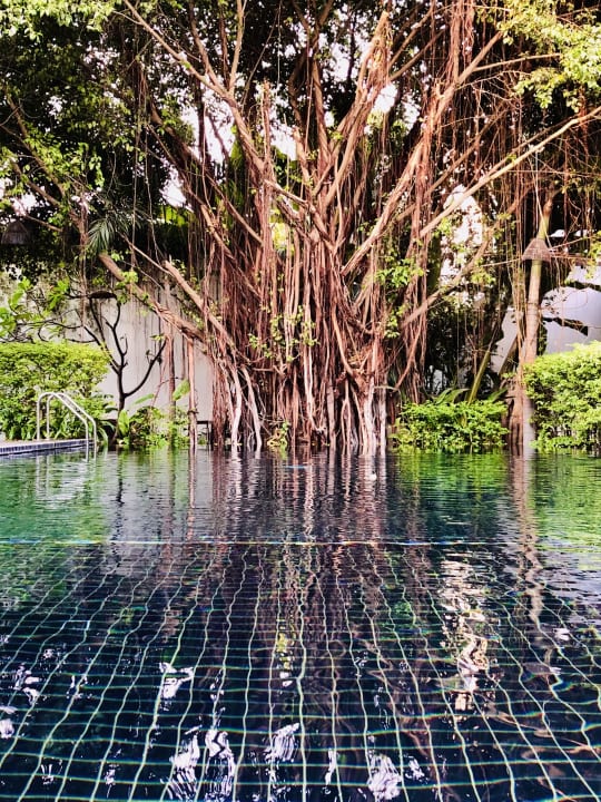 Pool Lynnaya Urban River Resort