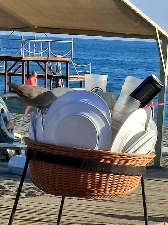 Sonstiges Club Turtas Beach Hotel