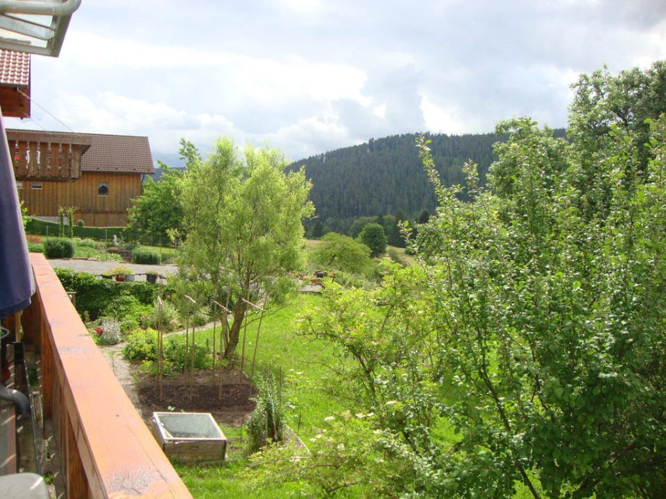 Der freundliche Schwarzwald Schwarzwaldhotel-Gasthof Hirsch