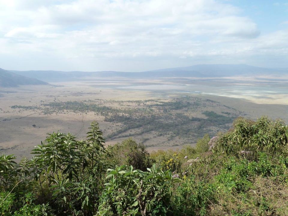 Blick auf Ngorongoro Crater Ngorongoro Lodge member of Meliá Collection