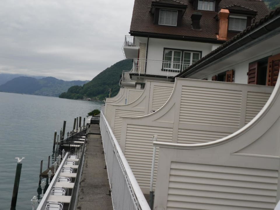 Ausblick zum See Seehotel Schwert