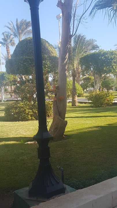 Gartenanlage The Grand Hotel Hurghada