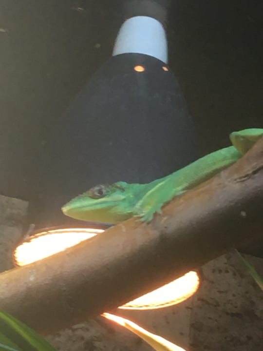 Sonstiges Ferienwohnungen Ferienpark Weissenhäuser Strand