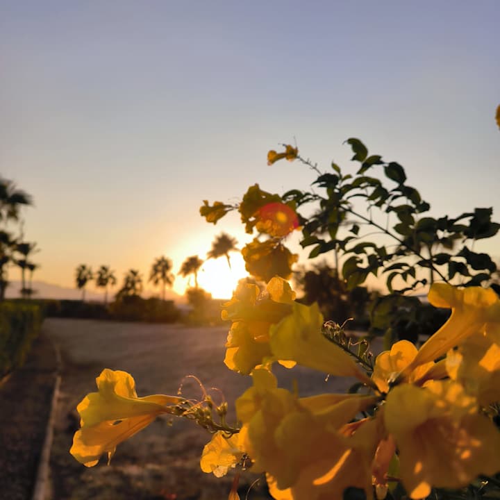 Gartenanlage Cleopatra Luxury Resort Makadi Bay