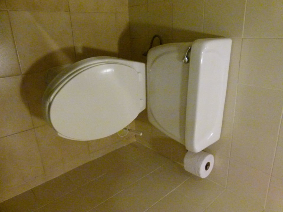 Blitzsaubere Toilette. Hotel Riu Tequila