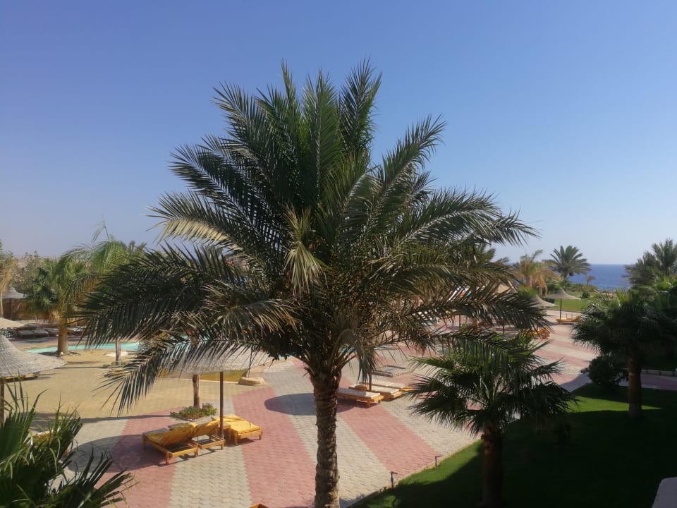 Ausblick Three Corners Sea Beach Resort