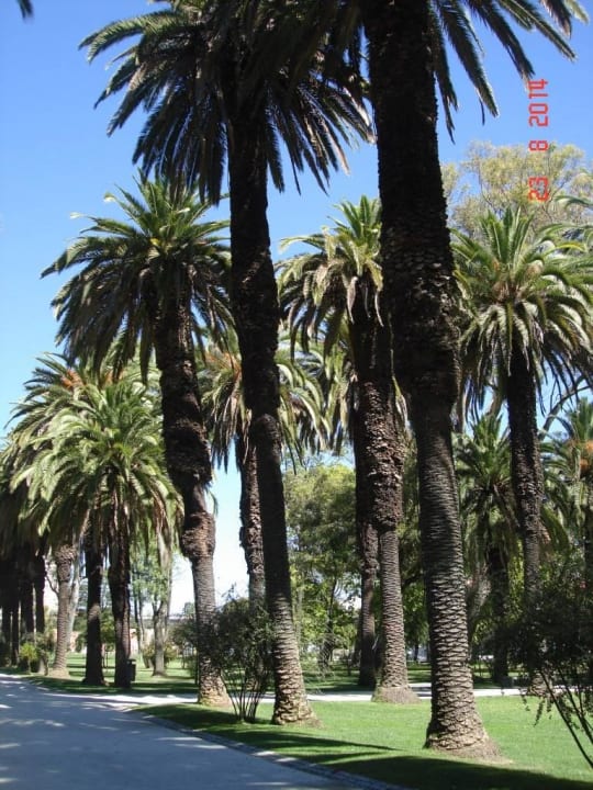 Park w pobliżu hotelu Radisson Blu Hotel Lisbon