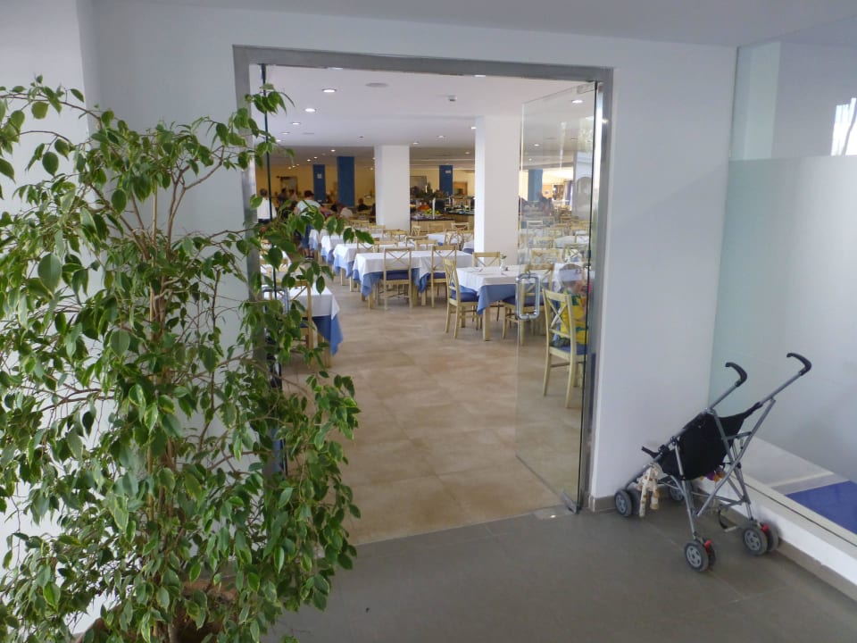 Eingang Restaurant Hotel Palm Garden