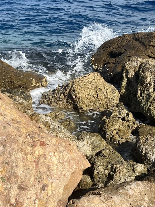 Strand Pickalbatros Citadel Resort