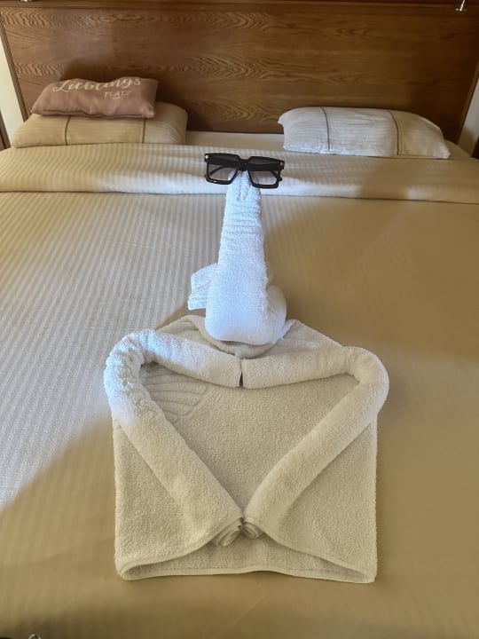 Zimmer Grand Waterworld Makadi & Family Star Makadi