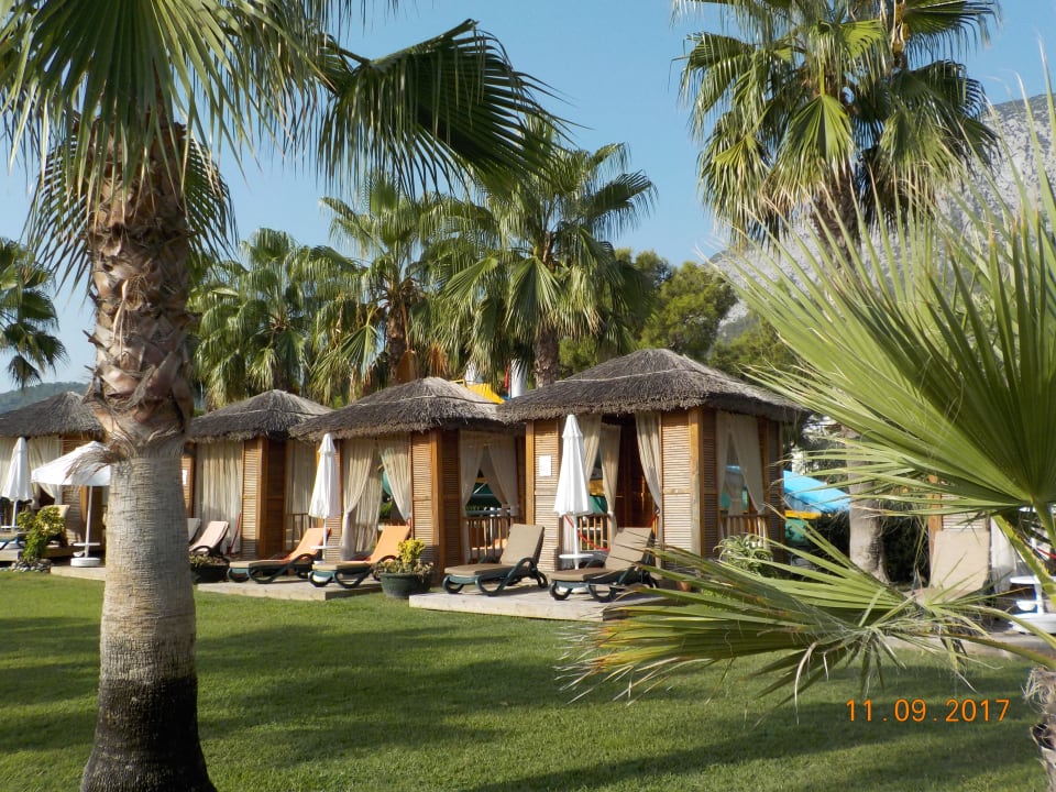 Gartenanlage Crystal Flora Beach Resort