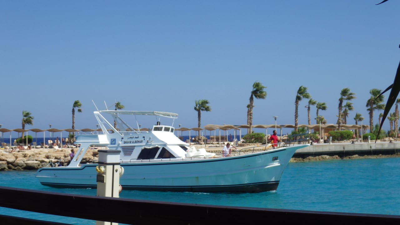 Aquarius Schiff Pickalbatros Citadel Resort