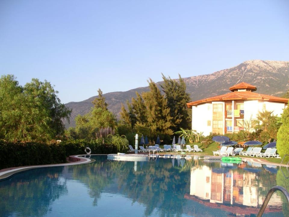 Blick vom Liegestuhl aus Montana Pine Resort