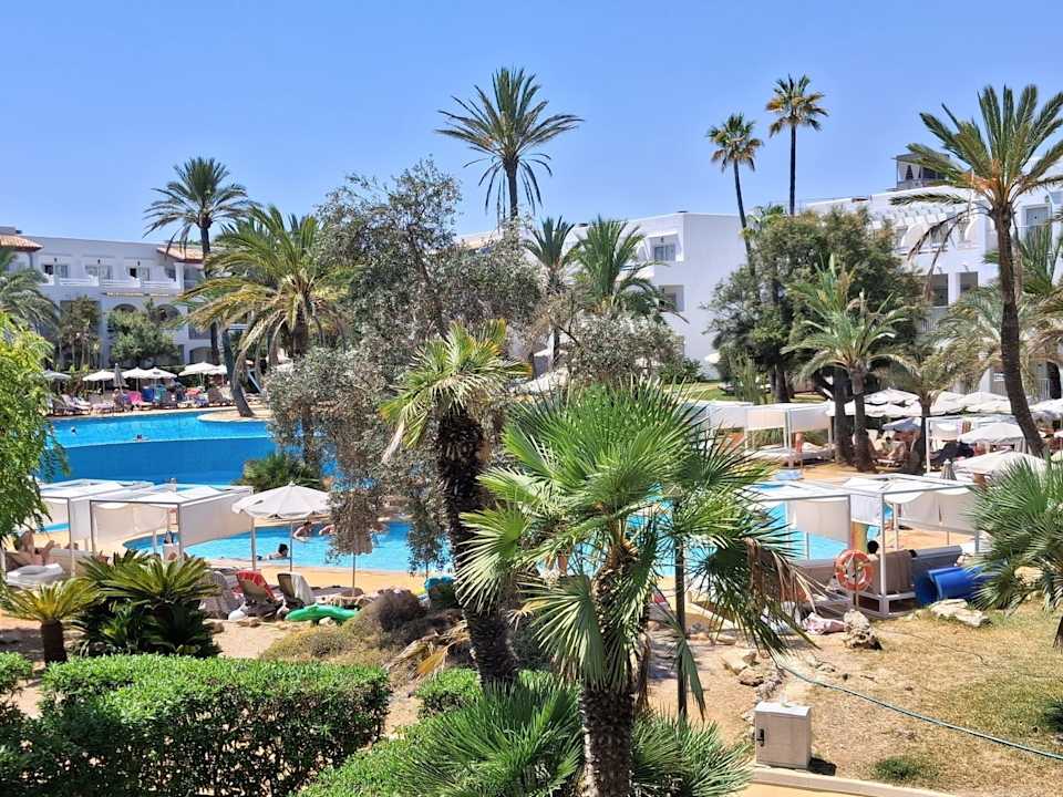 Zimmer Calimera Fido Gardens