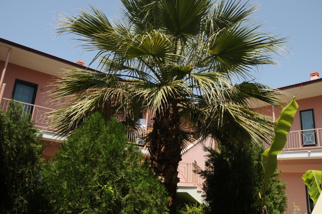 Zimmer Asteria Family Resort Side