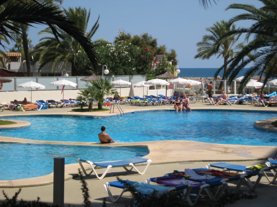 Blick von der Bar zum Pool. Aparthotel Playa Dorada