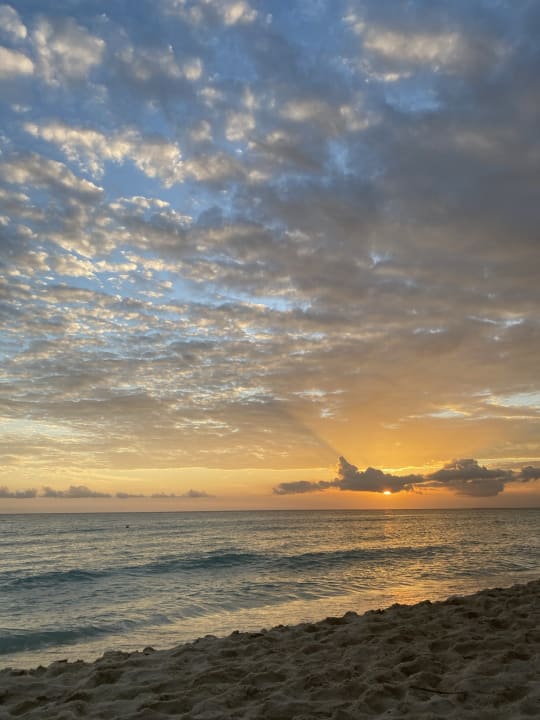 Strand Catalonia Royal La Romana - Adults only