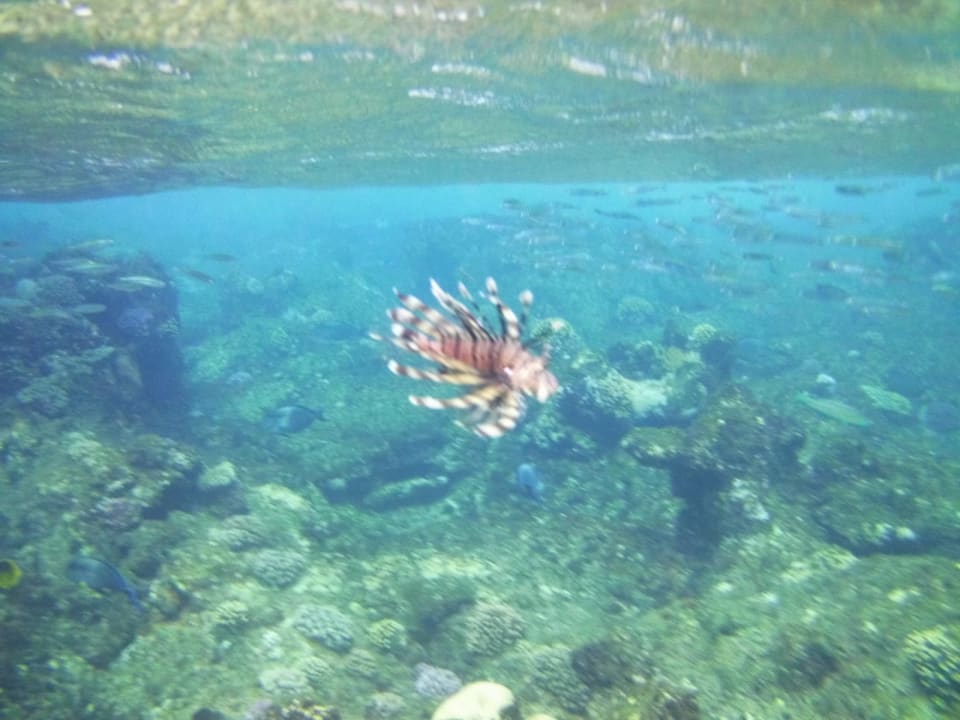 Strand Casa Mare Resort