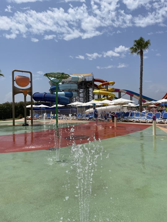 Sport & Freizeit Globales Bouganvilla